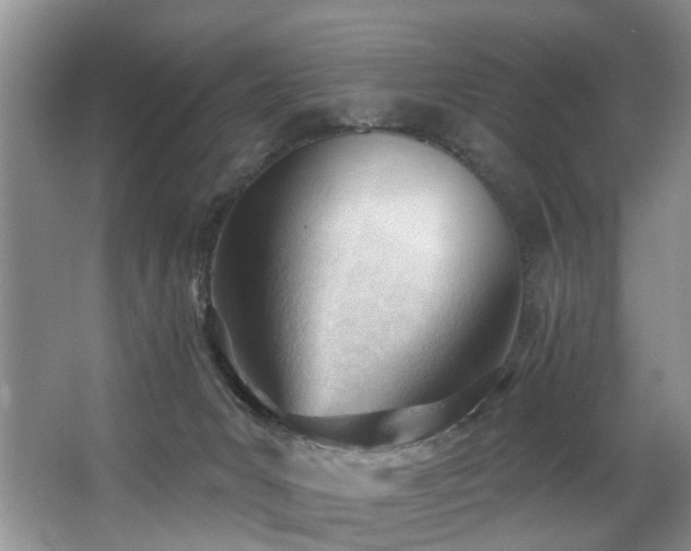X0000063490031200601201321