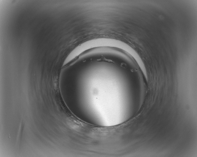 X0000063490033200601201321