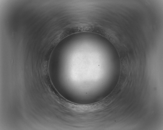 X0000063490034200601201321