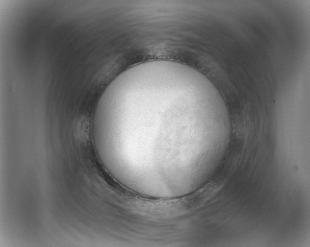 X0000063490036200601201321