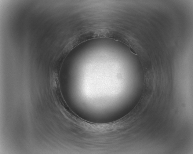 X0000063490038200601201321
