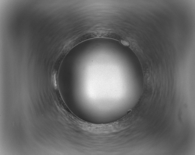 X0000063490042200601201321