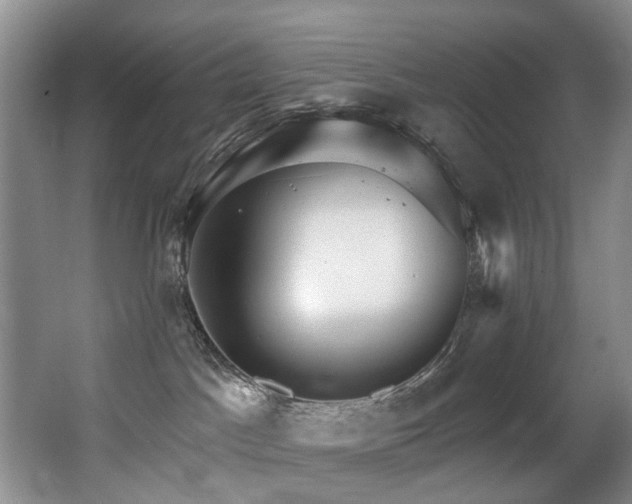 X0000063490045200601201321