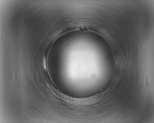 X0000063490046200601201321