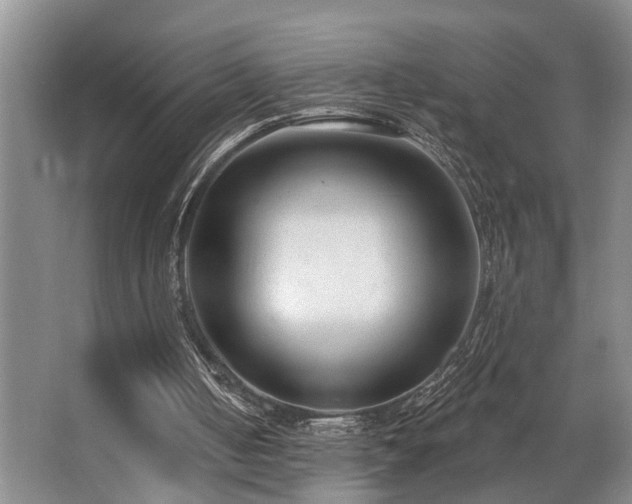 X0000063490050200601201320