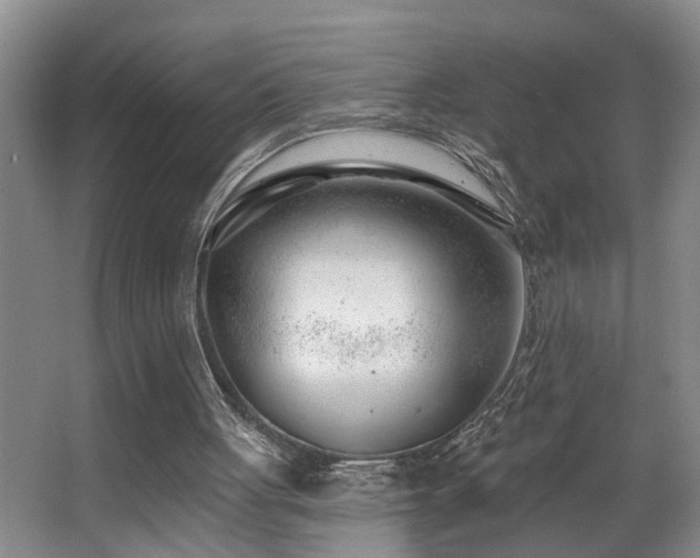 X0000063490051200601201320