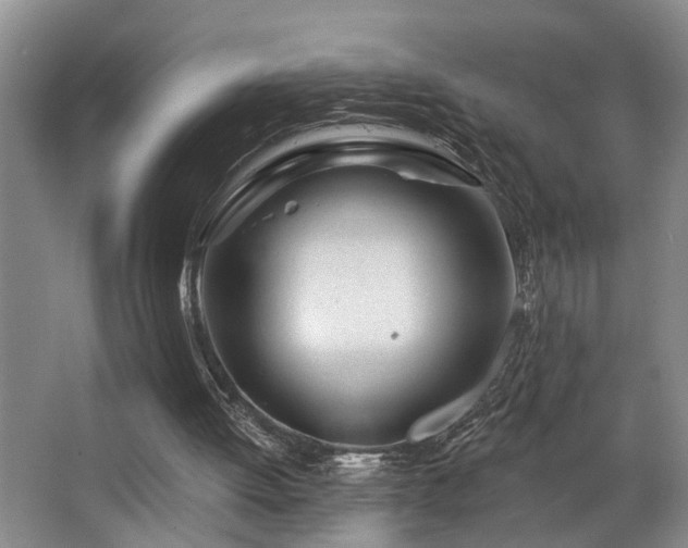 X0000063490052200601201320