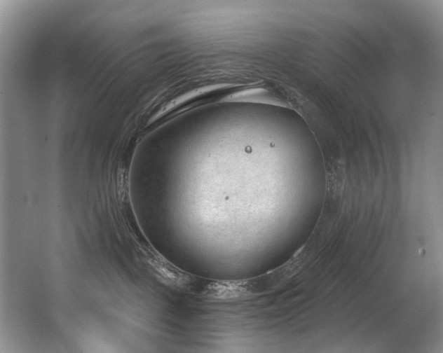 X0000063490093200601201321
