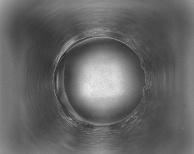 X0000063490099200601201320