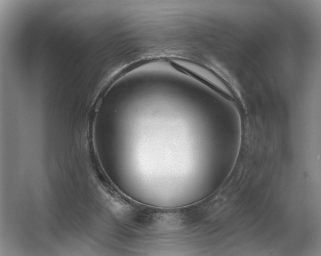 X0000063490107200601201320