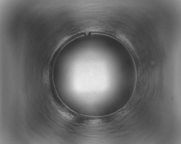 X0000063490108200601201320