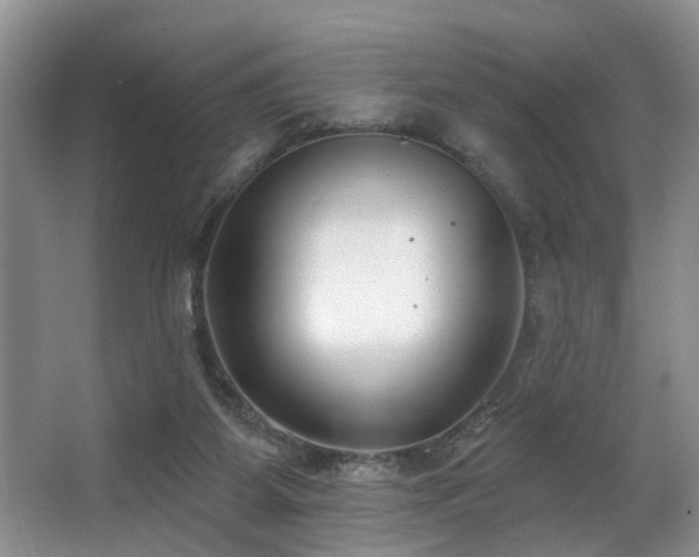 X0000063490115200601201319