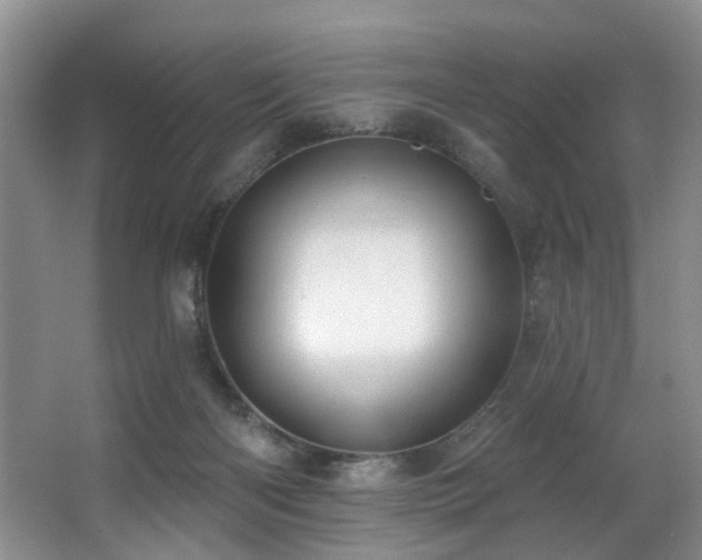 X0000063490122200601201319