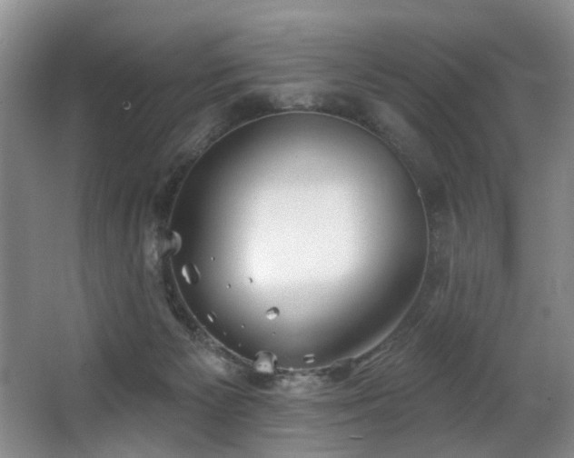 X0000063490125200601201319