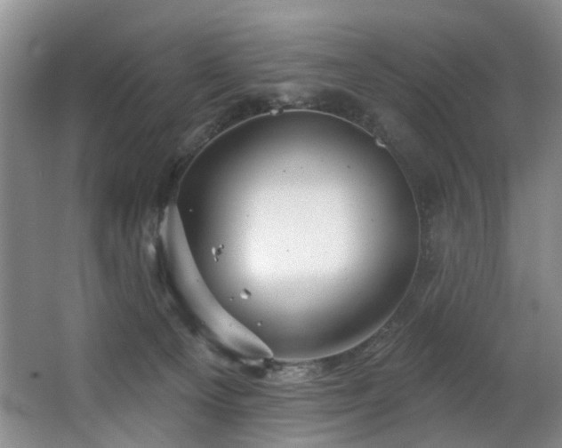 X0000063490129200601201319