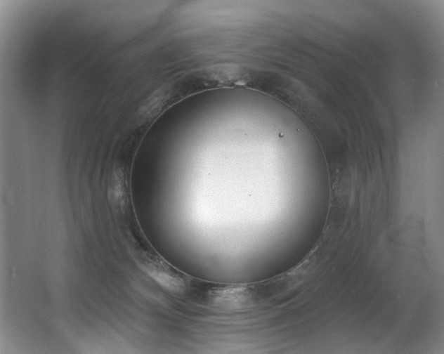 X0000063490132200601201319