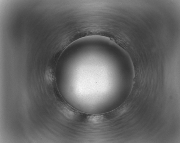 X0000063490135200601201319