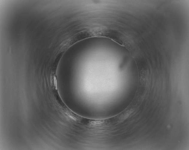 X0000063490139200601201319