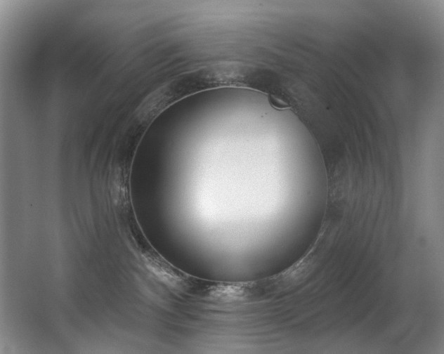 X0000063490140200601201319
