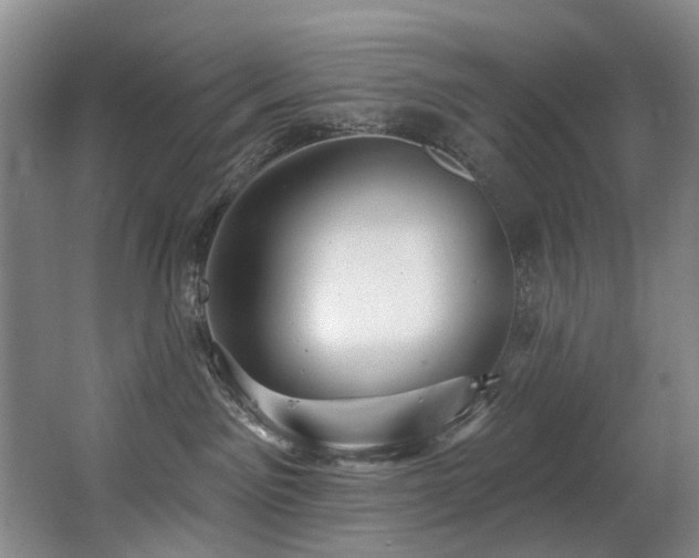 X0000063490141200601201319