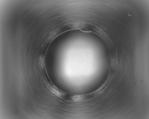 X0000063490142200601201319