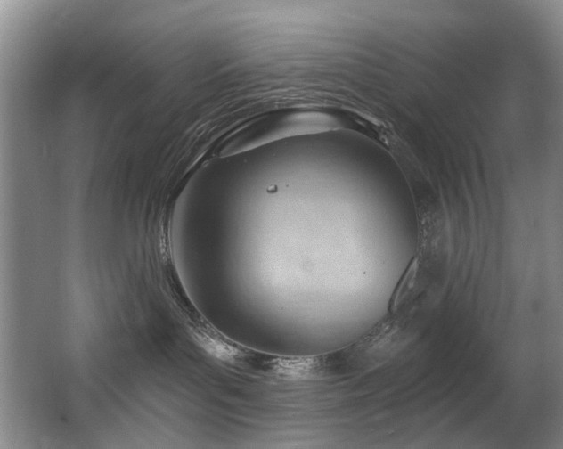 X0000063490143200601201319