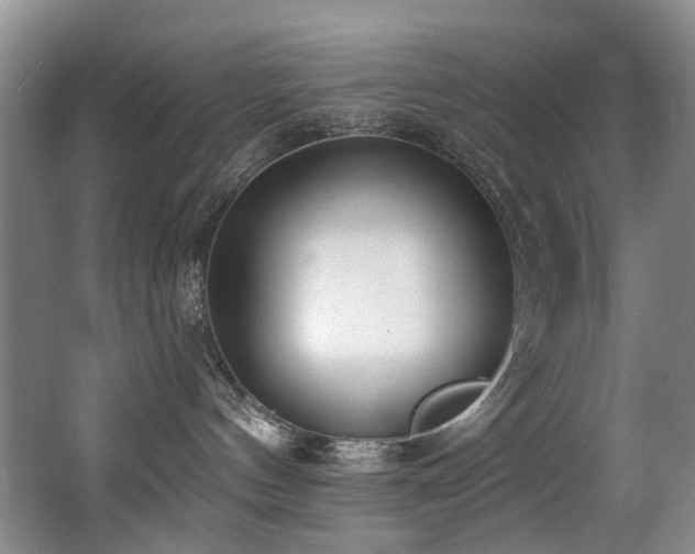 X0000063490144200601201319