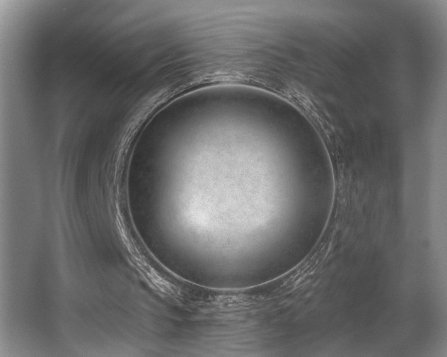 X0000063490145200601201318