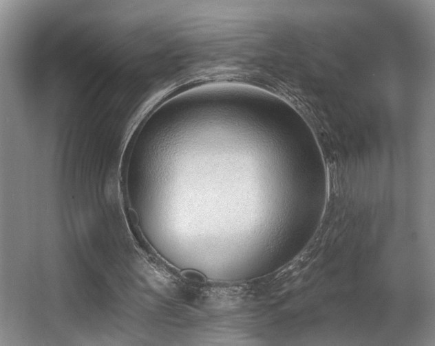 X0000063490147200601201318