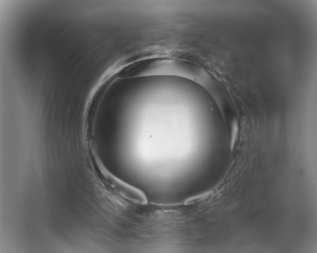 X0000063490150200601201318