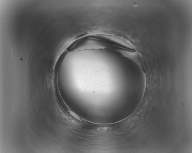 X0000063490152200601201318