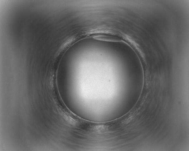 X0000063490153200601201318