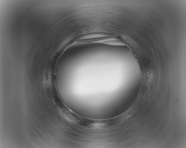 X0000063490158200601201318