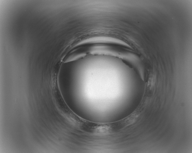 X0000063490168200601201319