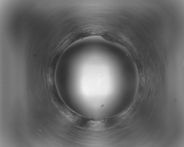 X0000063490170200601201319