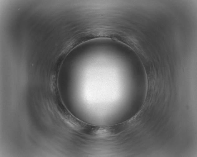 X0000063490171200601201319
