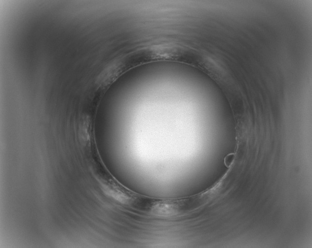 X0000063490174200601201319