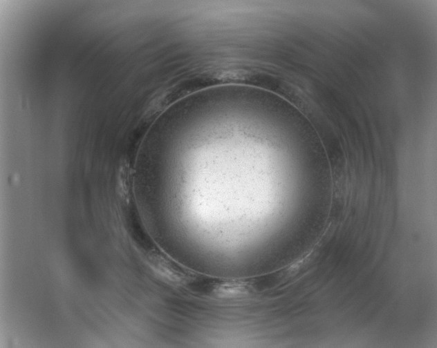 X0000063490175200601201319