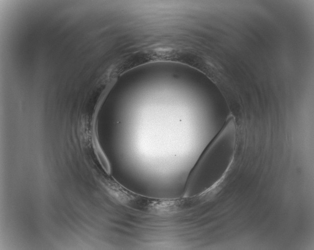 X0000063490186200601201319