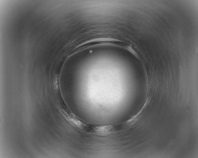 X0000063490191200601201319