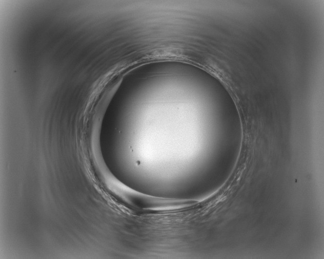 X0000063490193200601201318