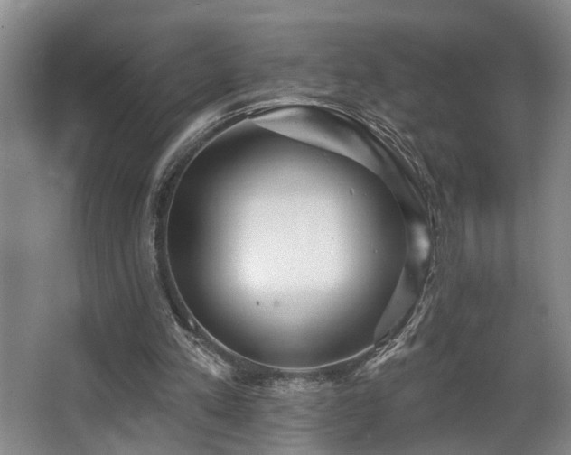 X0000063490197200601201318