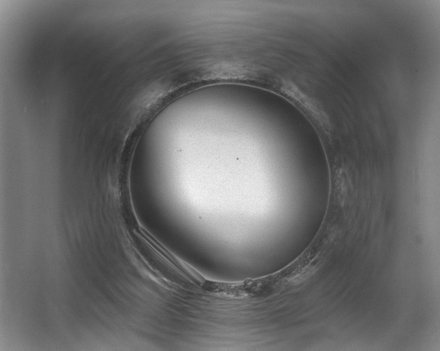 X0000063490203200601201318