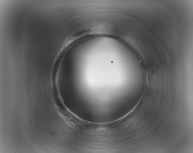 X0000063490204200601201318