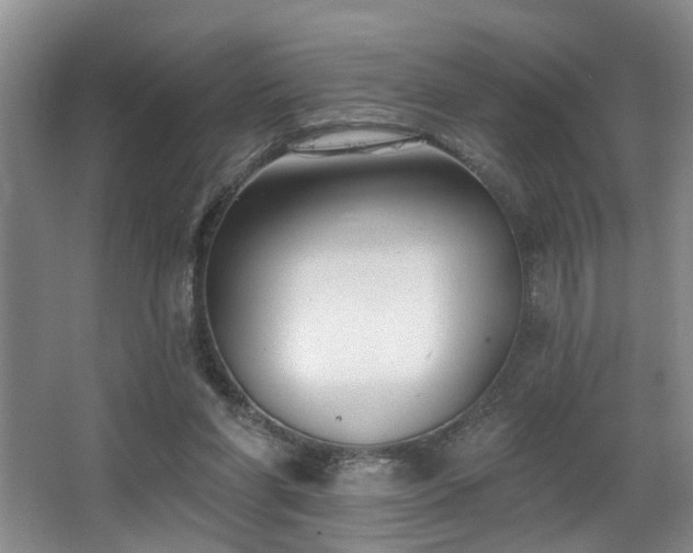 X0000063490206200601201318
