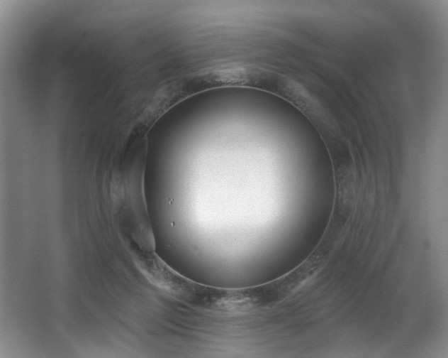 X0000063490213200601201318