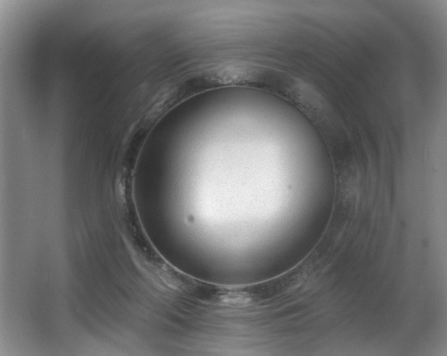 X0000063490214200601201318