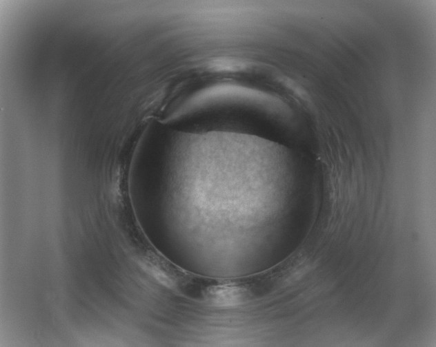 X0000063490219200601201318