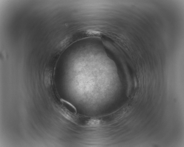 X0000063490227200601201318