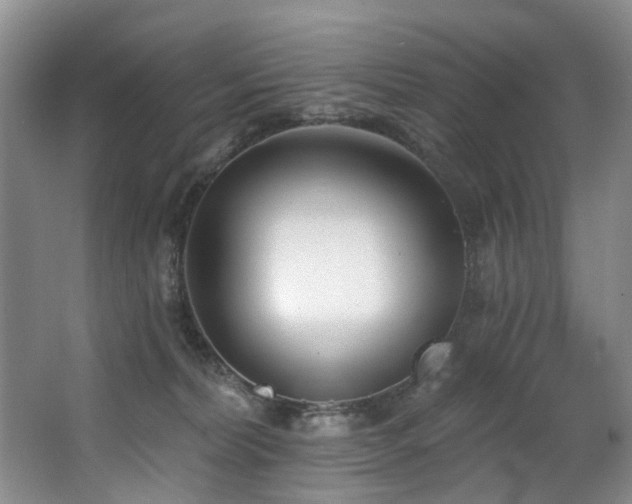 X0000063490228200601201318